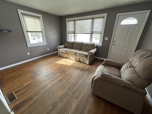 living room featuring wood-type flooring