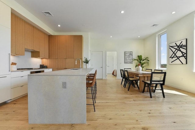 kitchen with light wood-type flooring, modern cabinets, and recessed lighting