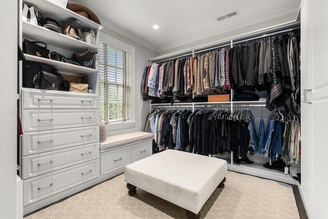 view of walk in closet