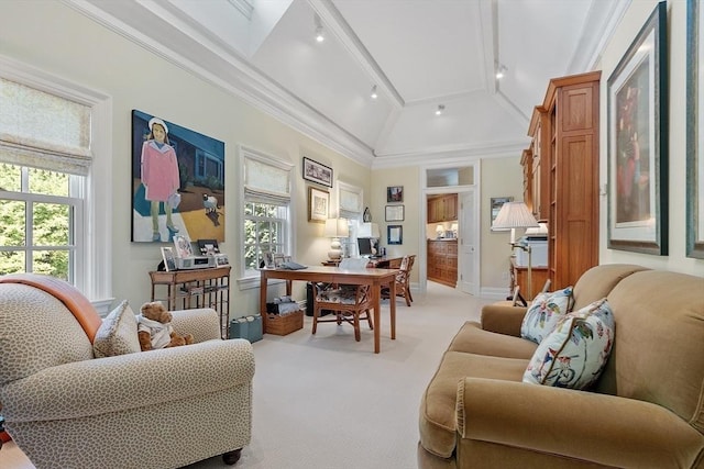 29 Willard Cmn, Concord, MA 01742 - office area with light carpet and crown molding