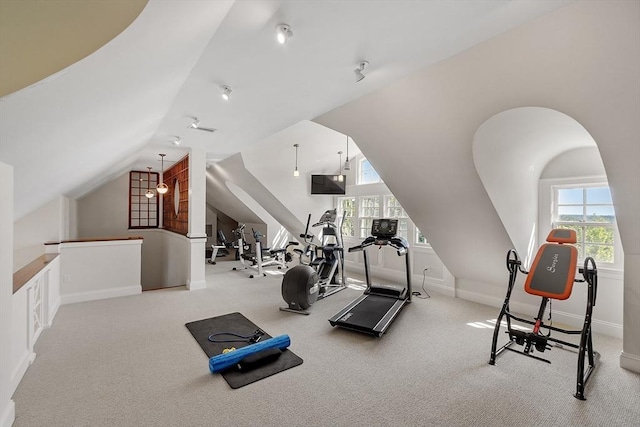 29 Willard Cmn, Concord, MA 01742 - exercise room featuring lofted ceiling, plenty of natural light, carpet flooring, and baseboards