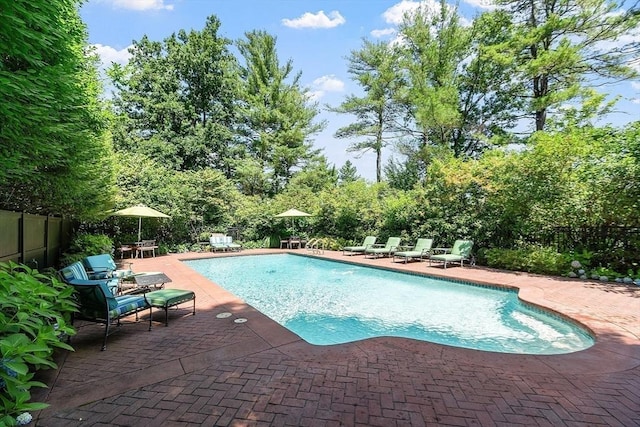 29 Willard Cmn, Concord, MA 01742 - view of pool with a patio area