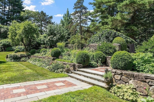 29 Willard Cmn, Concord, MA 01742 - surrounding community with a lawn