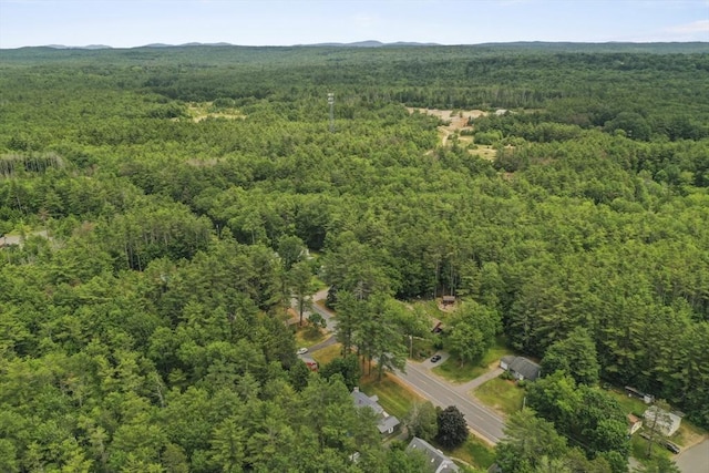 49 Winchendon Rd, Templeton, MA 01436 - aerial overview of property's location featuring a forest