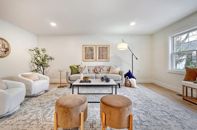 living room with wood-type flooring