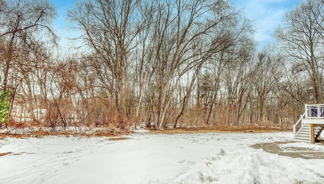 view of yard covered in snow