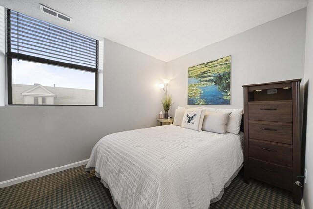 34 Newhall St Unit 313, Lowell, MA 01852 - bedroom featuring dark colored carpet