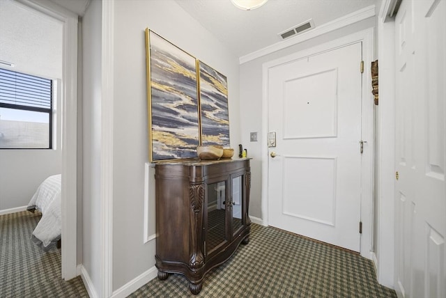 34 Newhall St Unit 313, Lowell, MA 01852 - doorway with carpet flooring and crown molding