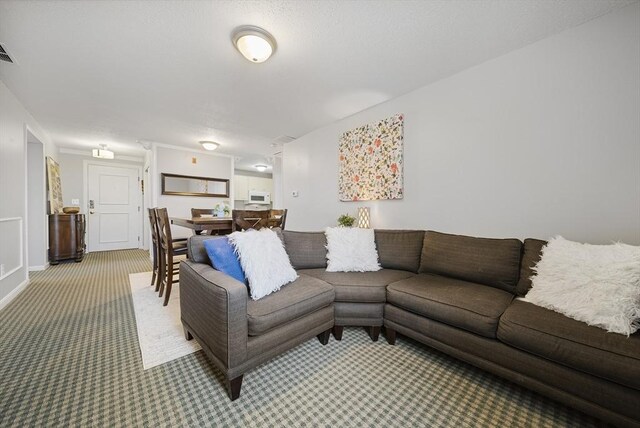 34 Newhall St Unit 313, Lowell, MA 01852 - living room featuring carpet