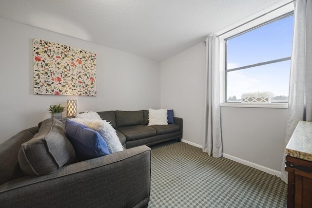 34 Newhall St Unit 313, Lowell, MA 01852 - view of carpeted living room