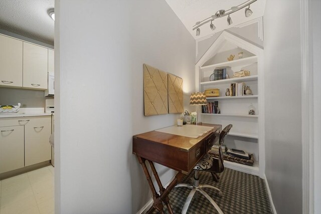 34 Newhall St Unit 313, Lowell, MA 01852 - home office with vaulted ceiling