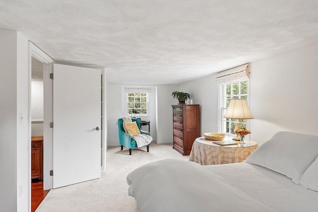 carpeted bedroom with a textured ceiling