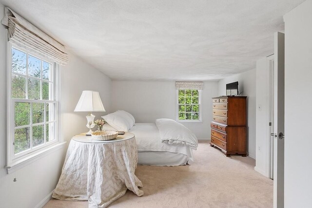 carpeted bedroom with multiple windows and baseboards
