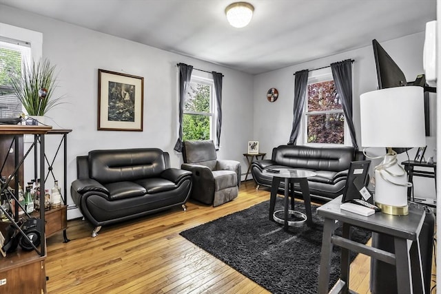 living room with wood-type flooring and a baseboard radiator