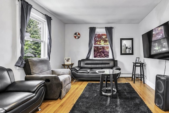 living room featuring plenty of natural light and hardwood / wood-style floors