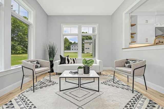 sitting room featuring sink, a wealth of natural light, and light hardwood / wood-style flooring