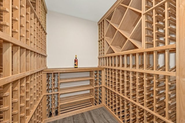 wine area with wood-type flooring