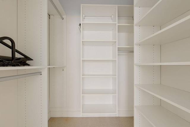 spacious closet featuring carpet floors