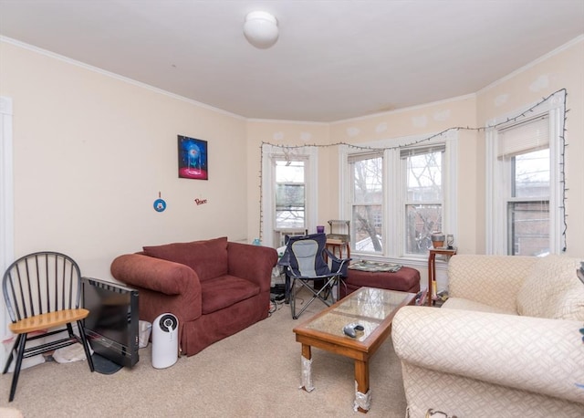 living area with ornamental molding, a healthy amount of sunlight, and carpet flooring