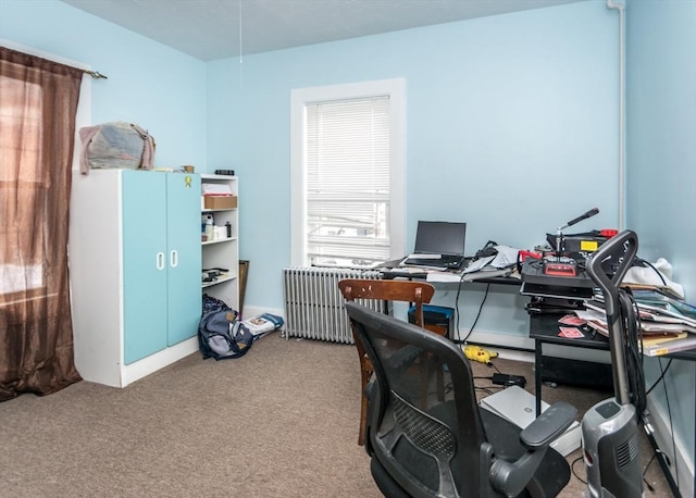 carpeted office with radiator