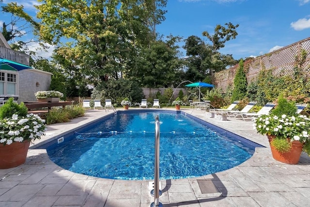 view of pool with a patio area, a fenced backyard, and a fenced in pool