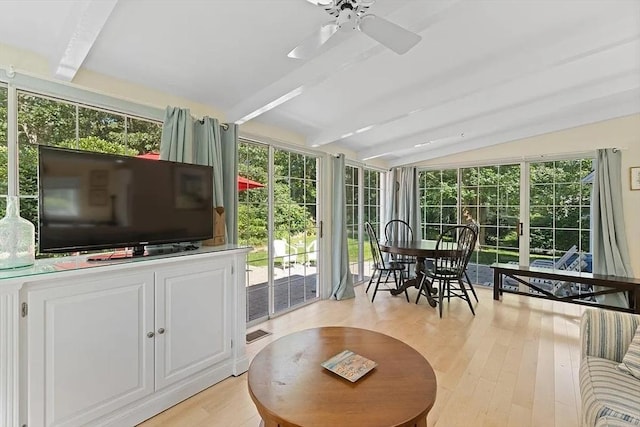 4 Wildwood Ave, Harwich, MA 02645 - sunroom / solarium with wood finished floors