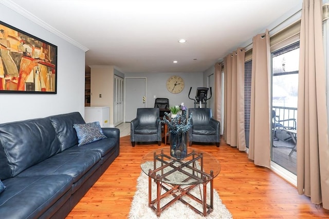 living room with crown molding and light wood-type flooring