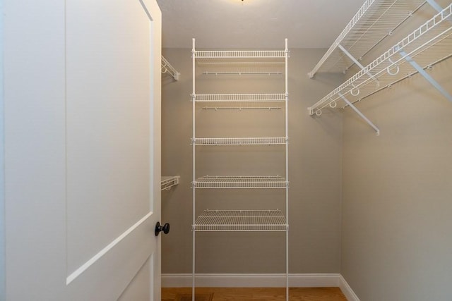 view of walk in closet