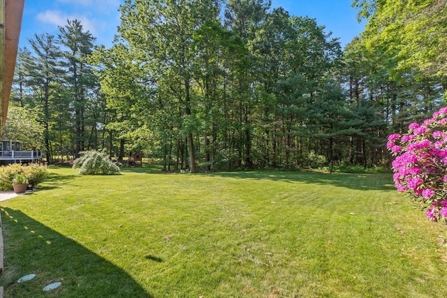 1005 Forest St, North Andover, MA 01845 - view of grassy yard