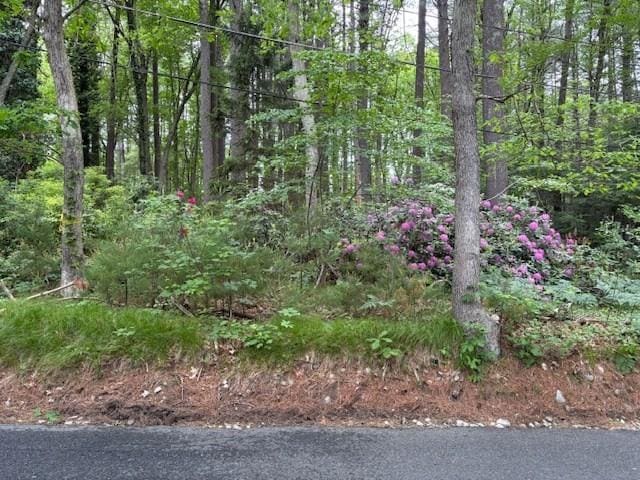 0-LOT1 Old Post Rd, Walpole, MA 02081