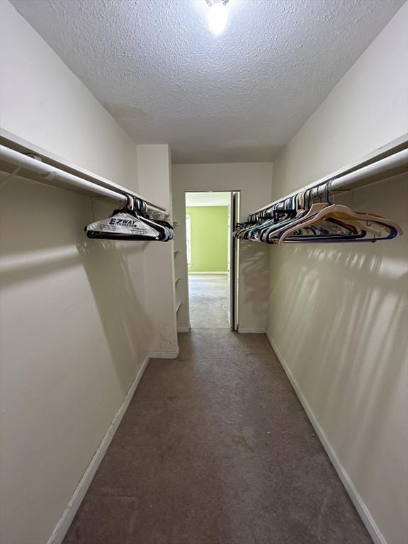 spacious closet featuring light colored carpet