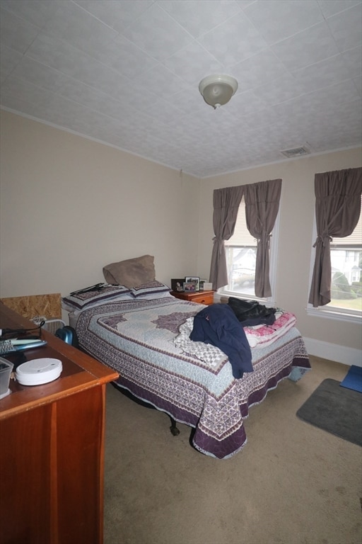 carpeted bedroom with multiple windows