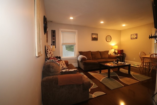 living room with wood-type flooring