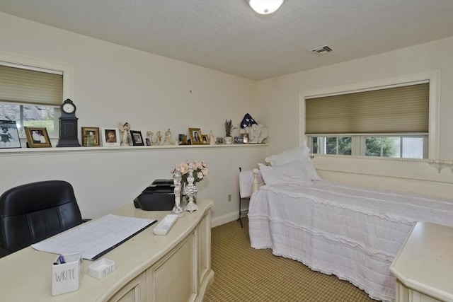717 Northampton St Unit 41, Holyoke, MA 01040 - bedroom featuring an office area and light colored carpet