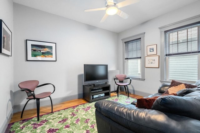 97 Stearns Rd, Brookline, MA 02446 - living room featuring plenty of natural light, wood finished floors, baseboards, and radiator heating unit