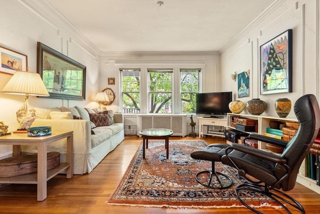 97 Stearns Rd, Brookline, MA 02446 - living area featuring wood finished floors, crown molding, and radiator heating unit