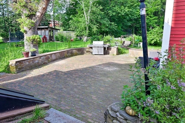 217 Asbury St, Hamilton, MA 01982 - view of patio / terrace with a trampoline, a grill, an outbuilding, and view of wooded area