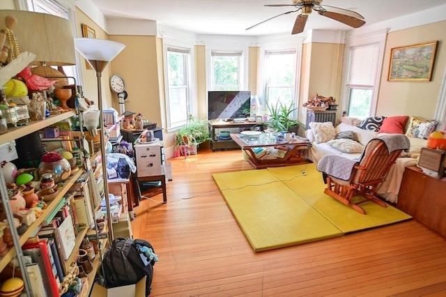 217 Asbury St, Hamilton, MA 01982 - living area featuring ceiling fan and wood finished floors