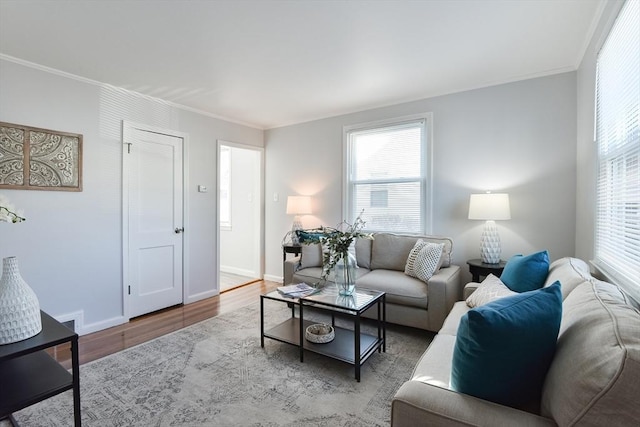 living room featuring baseboards, wood finished floors, and crown molding