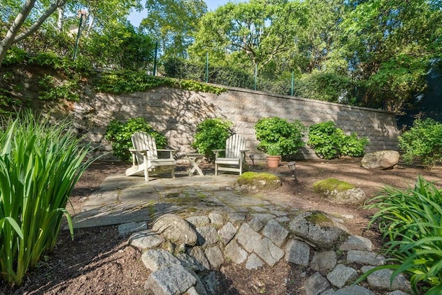 view of yard with a patio