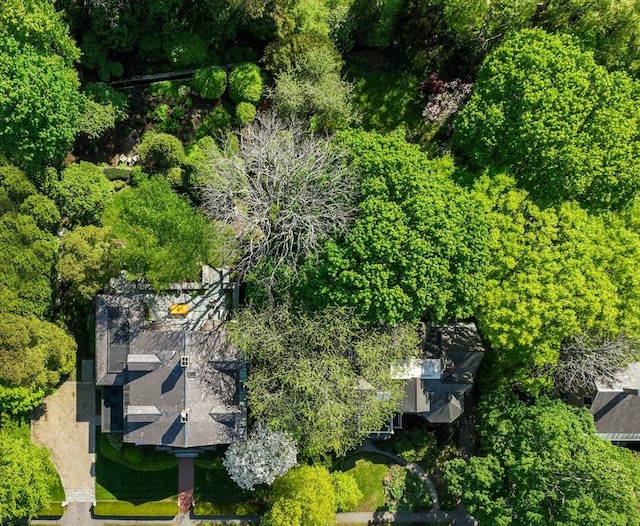 bird's eye view