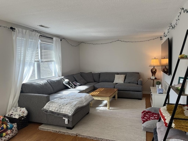 living room with wood finished floors and a textured ceiling