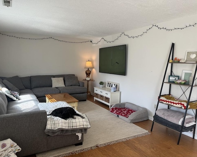 living room featuring wood finished floors and a textured ceiling