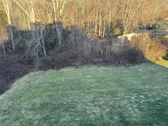 view of green lawn