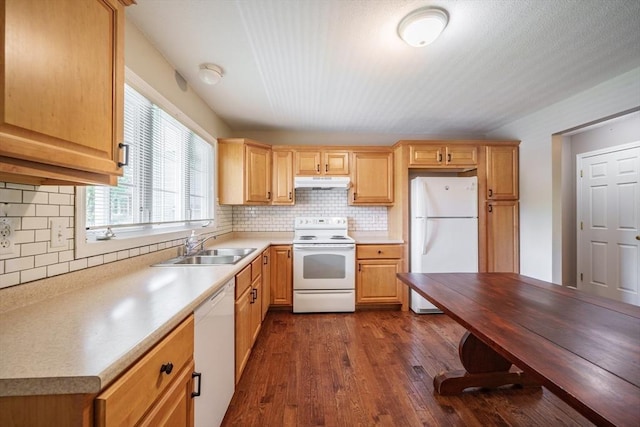 kitchen with white appliances, under cabinet range hood, a sink, tasteful backsplash, and dark wood-style flooring