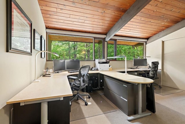 183 Indian Hl, Carlisle, MA 01741 - office space with wood ceiling, healthy amount of natural light, and carpet floors