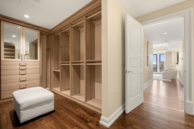 walk in closet featuring dark wood-style flooring