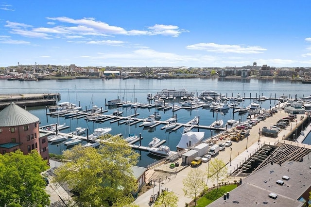 45 1st Ave Unit 301, Boston, MA 02129 - water view with a marina and a boat dock