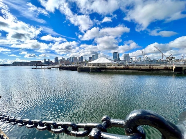 45 1st Ave Unit 301, Boston, MA 02129 - water view featuring city skyline