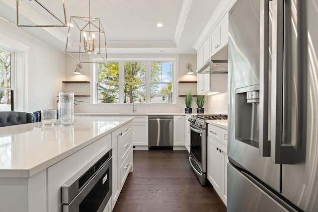 7 Milk St, Natick, MA 01760 - kitchen featuring appliances with stainless steel finishes, open shelves, under cabinet range hood, a tray ceiling, and backsplash